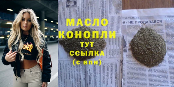 молекула духа Новодвинск