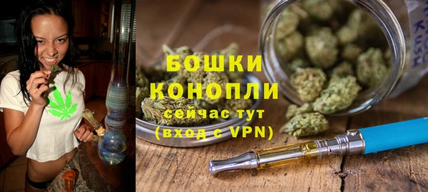 молекула духа Новодвинск