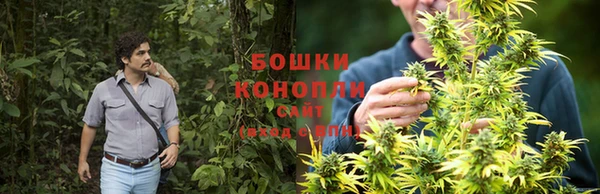 молекула духа Новодвинск