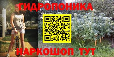 кокс Кинель