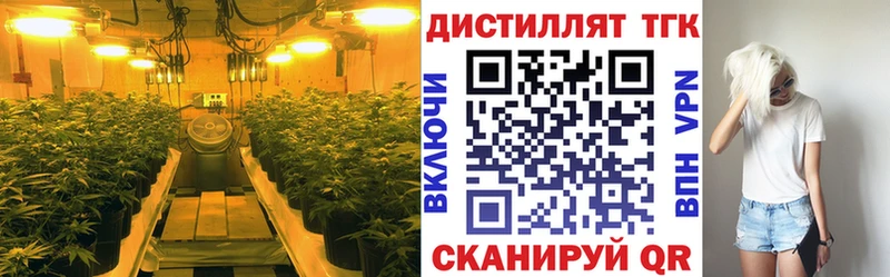 ТГК концентрат  как найти закладки  Великий Новгород 